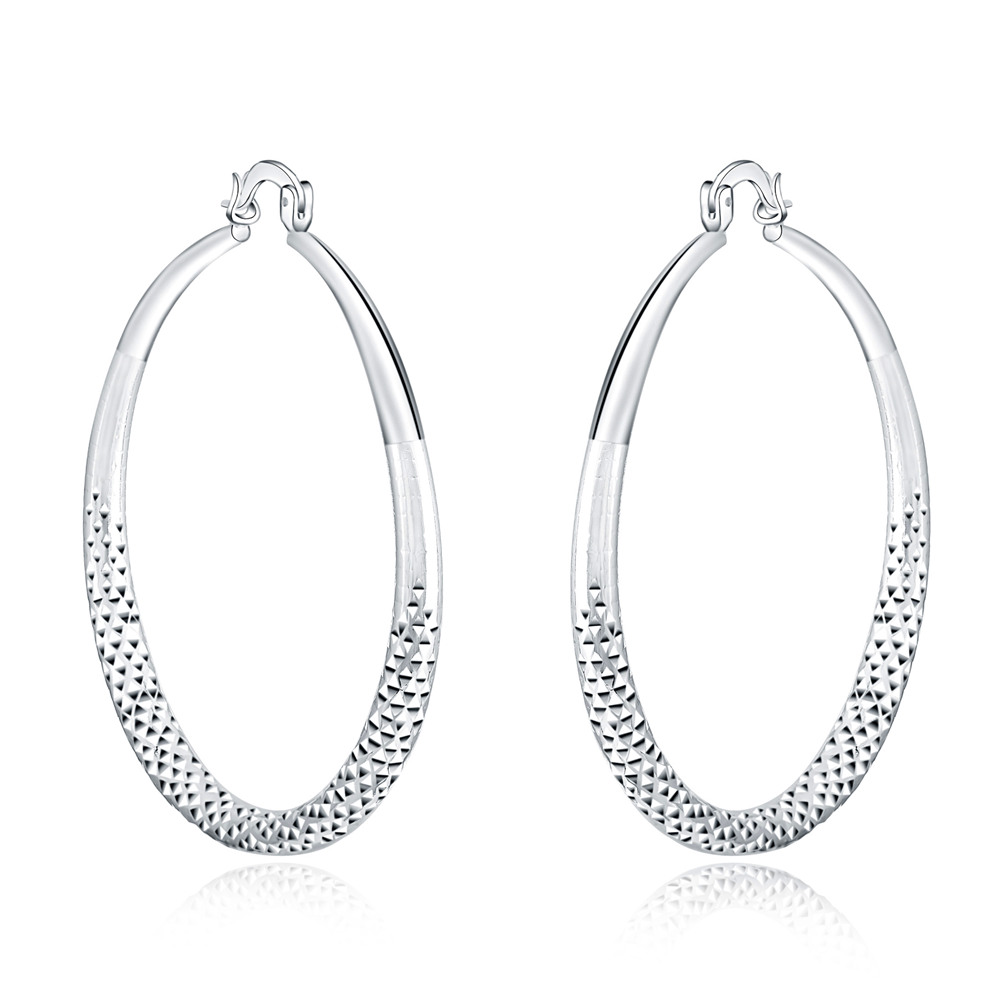 Oorbellen van Sterling Zilver